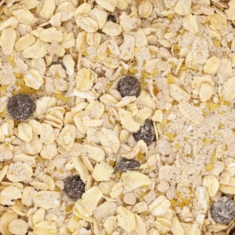 Ciastka-owsiane-z-czekoladą---mieszanka-do-wypieku (1).webp