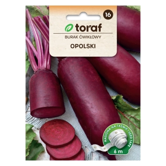 Burak ćwikłowy podłużny OPOLSKI (taśma 6m).webp