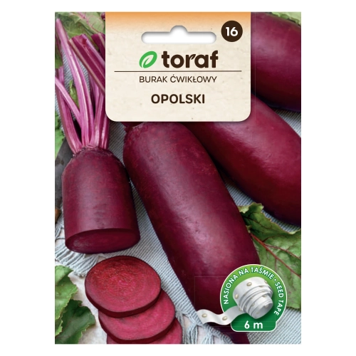 Burak ćwikłowy podłużny OPOLSKI (taśma 6m).webp