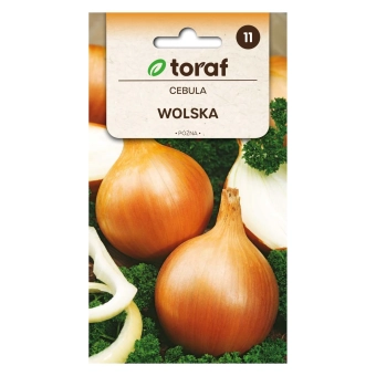 Cebula WOLSKA 5g