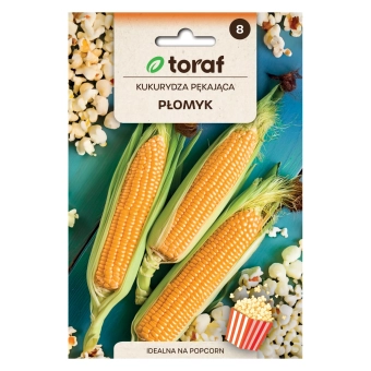 Kukurydza pękająca PŁOMYK 20g