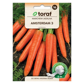 Marchew AMSTERDAM 3 (taśma 6m).webp