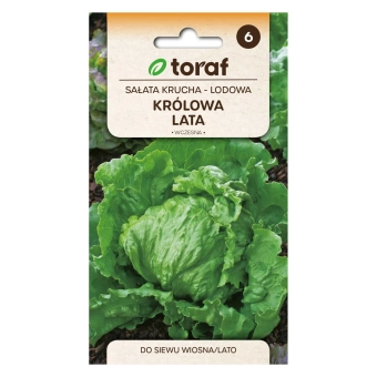 Sałata krucha-lodowa KRÓLOWA LATA 1g