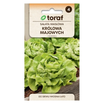 Sałata masłowa głowiasta KRÓLOWA MAJOWYCH 2g