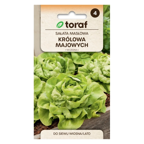 Sałata masłowa głowiasta KRÓLOWA MAJOWYCH 2g.webp