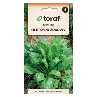 Szpinak OLBRZYM ZIMOWY 10g