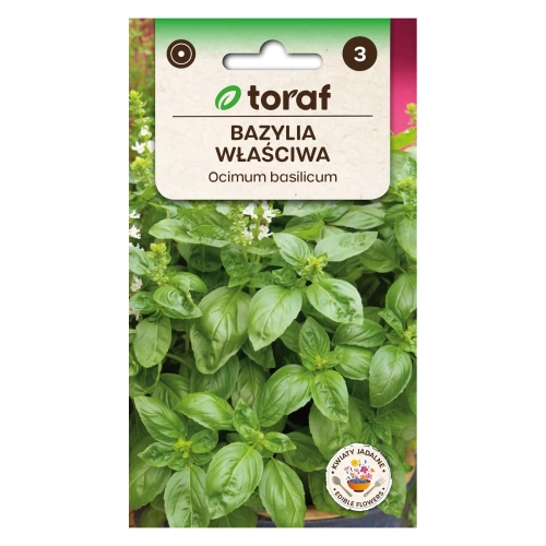 Bazylia właściwa GENOVESE 1g.webp