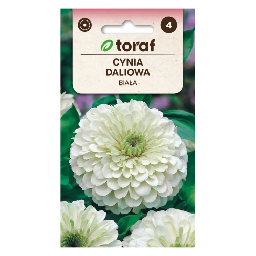 Cynia daliowa BIAŁA 1g.webp