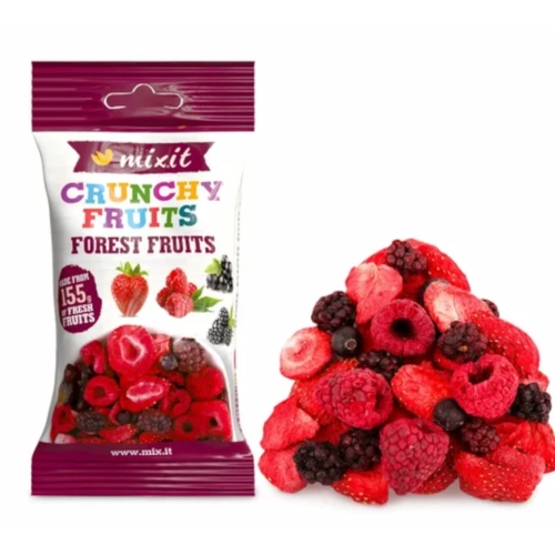 Liofilizowane owoce Mieszanka Leśna 20g.webp