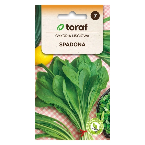 Cykoria liściowa SPADONA 5g.webp