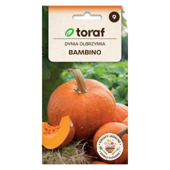 Dynia olbrzymia BAMBINO 5g
