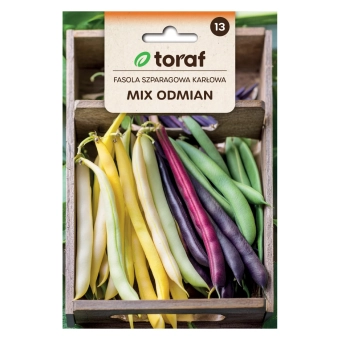 Fasola szparagowa karł. MIX ODMIAN 40g