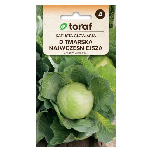 Kapusta głow. biała DITMARSKA NAJWCZEŚNIEJSZA 2g.webp
