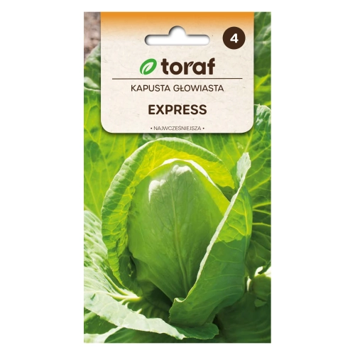 Kapusta głow. biała  EXPRESS (najwcześniejsza) 1g.webp