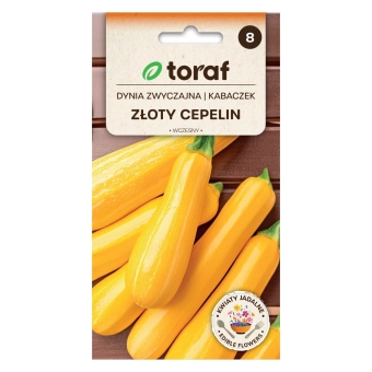 Dynia zwyczajna ZŁOTY CEPELIN 5g