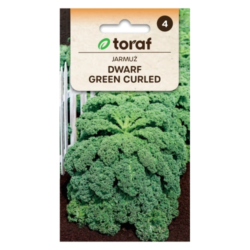 Jarmuż niski DWARF GREEN CURLED 1g.webp