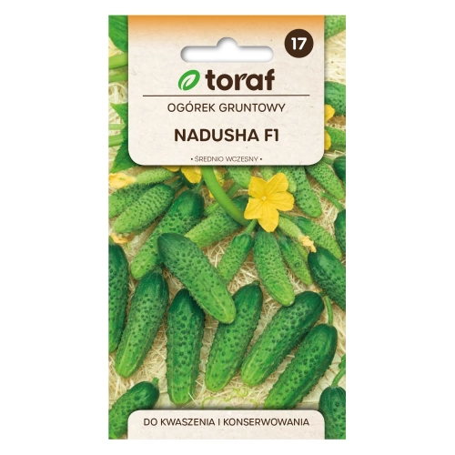 Ogórek NADUSHA F1 1g.webp