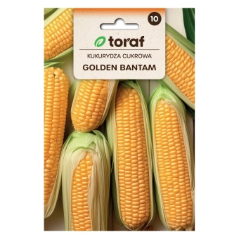 Kukurydza cukrowa GOLDEN BANTAM 20g