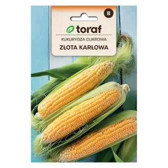 Kukurydza cukrowa ZŁOTA KARŁOWA 20g