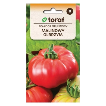 Pomidor gruntowy MALINOWY OLBRZYM 0,5g