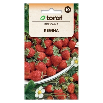 Poziomka REGINA 0,1g