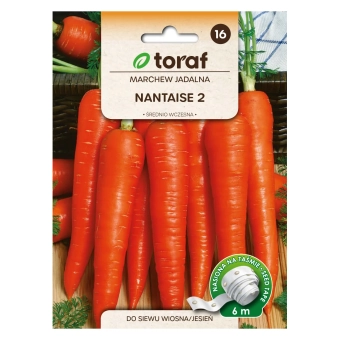 Marchew NANTAISE 2 (taśma 6m)