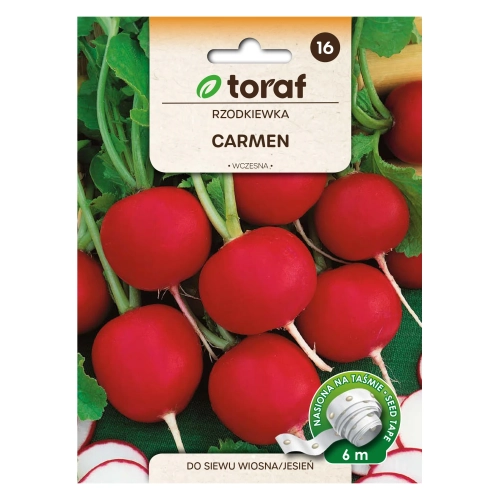 Rzodkiewka CARMEN (taśma 6m).webp