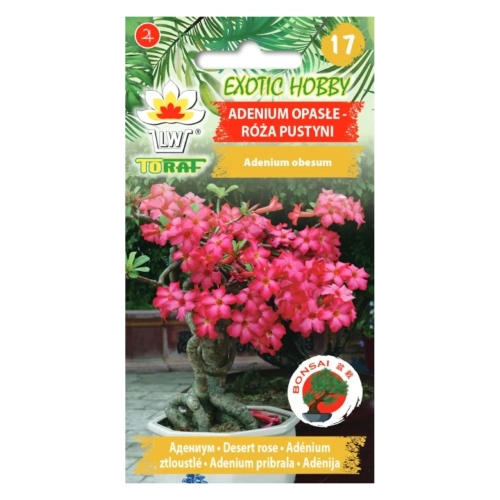 Adenium opasłe RÓŻA PUSTYNI 5 szt..webp