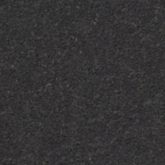 11488.webp