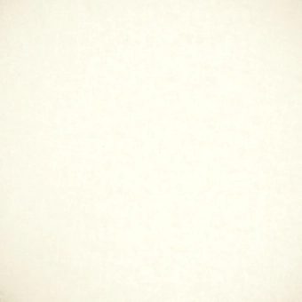 17856.webp