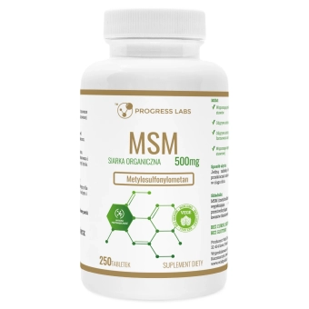 MSM 500mg 250tab - Progress Labs