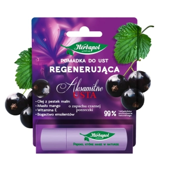 Pomadka do ust REGENERUJĄCA czarna porzeczka 4,9g