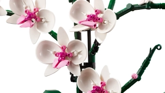 lego_10311_05.webp