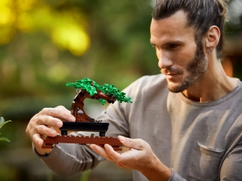 lego-10281-11.webp