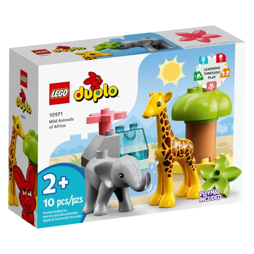 10971.jpg